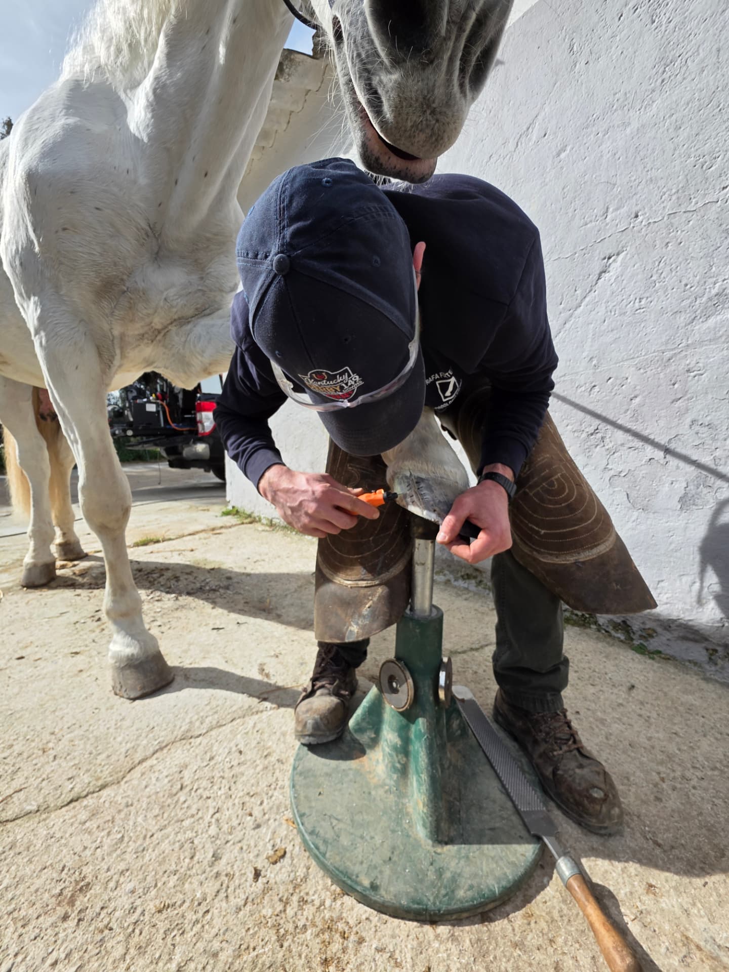 Specialist working on a horse hoof outdoors