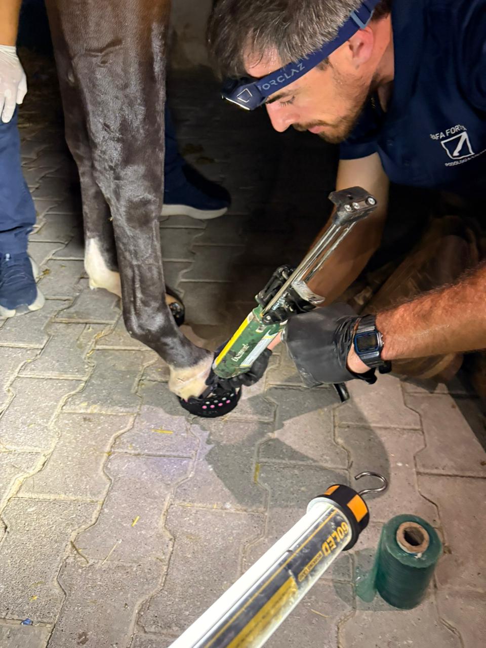 Profesional aplicando una herradura terapéutica en un casco equino